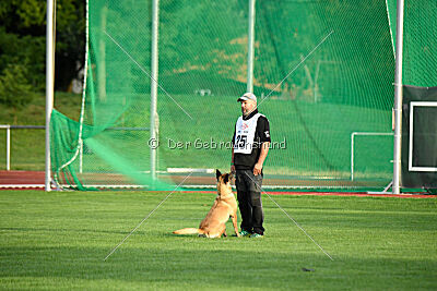 Bondage von Zamonien