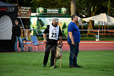 Bondage von Zamonien