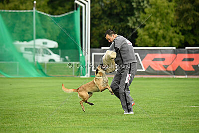 Bondage von Zamonien