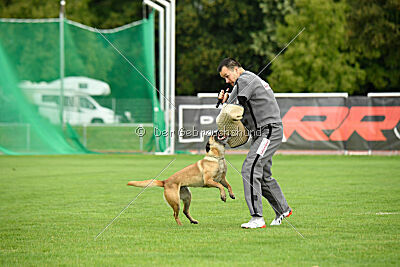 Bondage von Zamonien