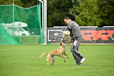 Bondage von Zamonien