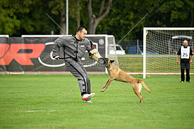 Bondage von Zamonien