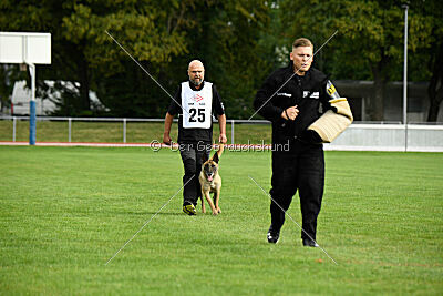 Bondage von Zamonien