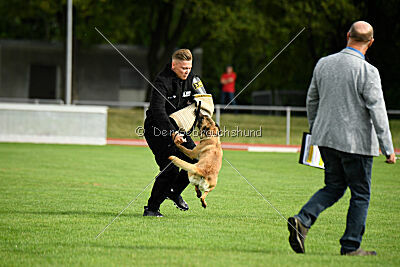 Bondage von Zamonien