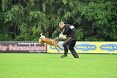 Bondage von Zamonien