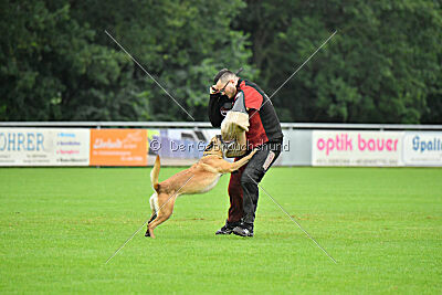 Bondage von Zamonien