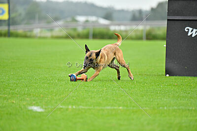 Bondage von Zamonien