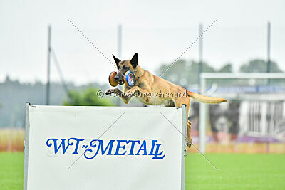 Bondage von Zamonien