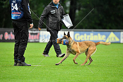 Bondage von Zamonien