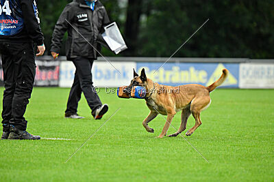 Bondage von Zamonien