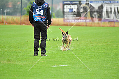 Bondage von Zamonien