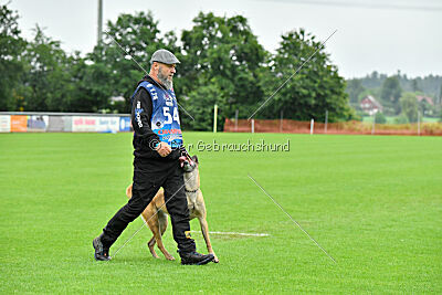 Bondage von Zamonien