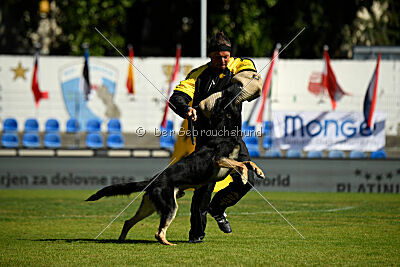 Bono Extreme Arakon Land