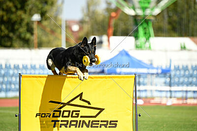 Bono Extreme Arakon Land