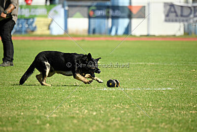Bono Extreme Arakon Land