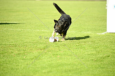 Bono Extreme Arakon Land