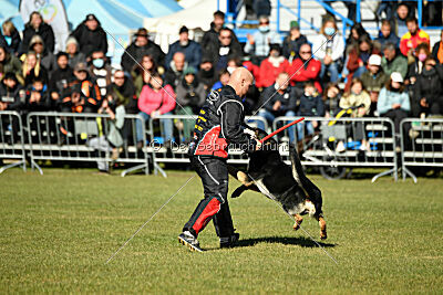 Bono Extreme Arakon Land