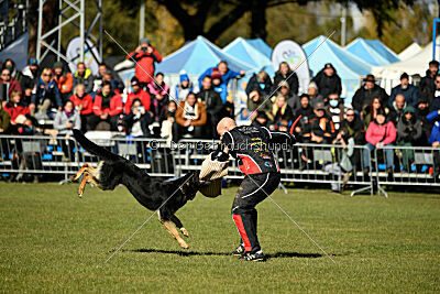 Bono Extreme Arakon Land