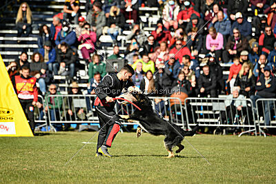 Bono Extreme Arakon Land