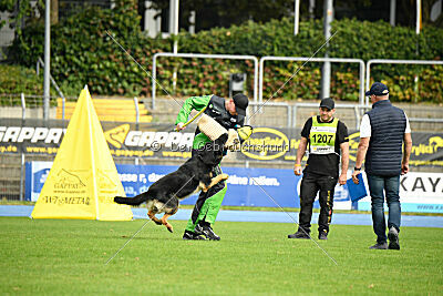 Boom von der Germanenquelle