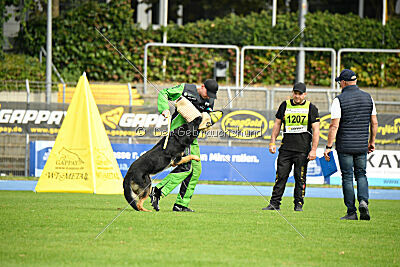 Boom von der Germanenquelle