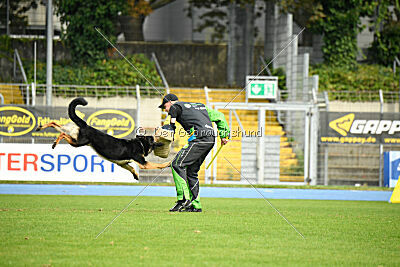 Boom von der Germanenquelle