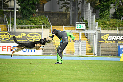 Boom von der Germanenquelle