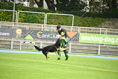 Boom von der Germanenquelle