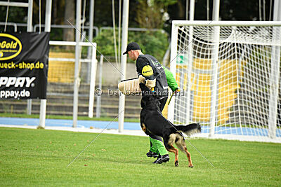 Boom von der Germanenquelle