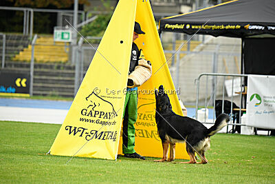 Boom von der Germanenquelle