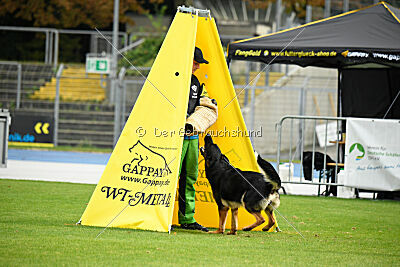 Boom von der Germanenquelle