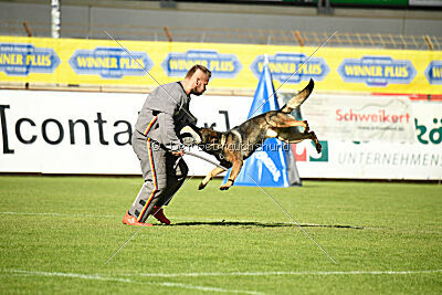 Boomer da la Vieja Encina