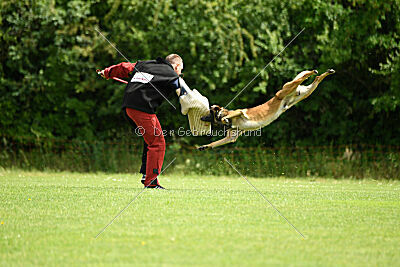 Boomer vom Further Moor