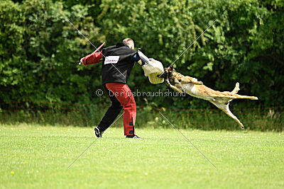 Boomer vom Further Moor