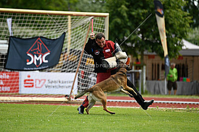 Boomer vom Further Moor