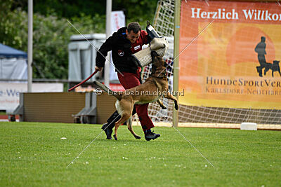 Boomer vom Further Moor