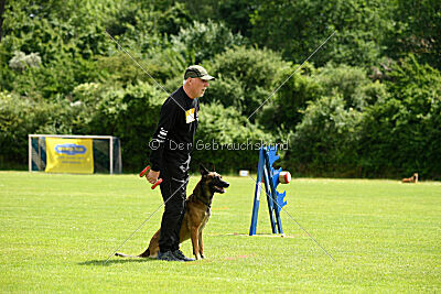 Boomer vom Further Moor