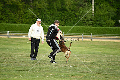 Boomer vom Further Moor