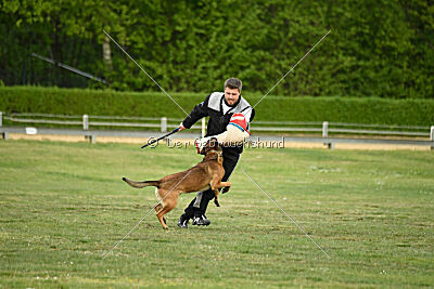 Boomer vom Further Moor