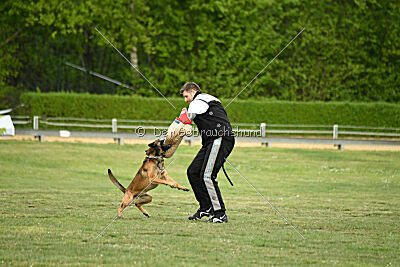 Boomer vom Further Moor