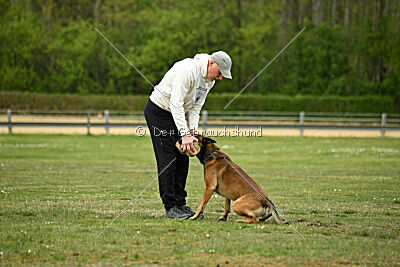 Boomer vom Further Moor