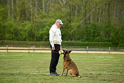 Boomer vom Further Moor