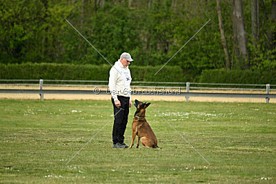 Boomer vom Further Moor