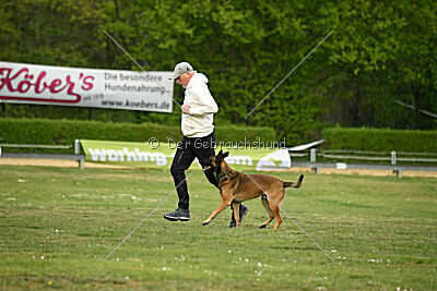 Boomer vom Further Moor