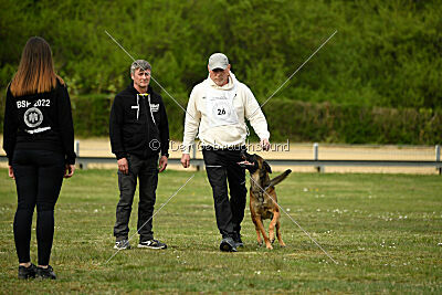 Boomer vom Further Moor