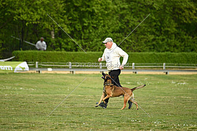 Boomer vom Further Moor