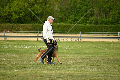 Boomer vom Further Moor