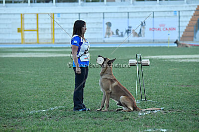 Boris von Anauj Haus