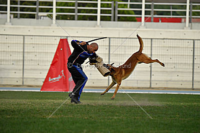 Boris von Anauj Haus