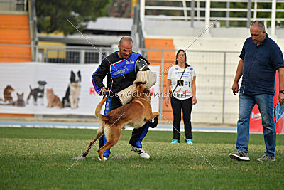 Boris von Anauj Haus